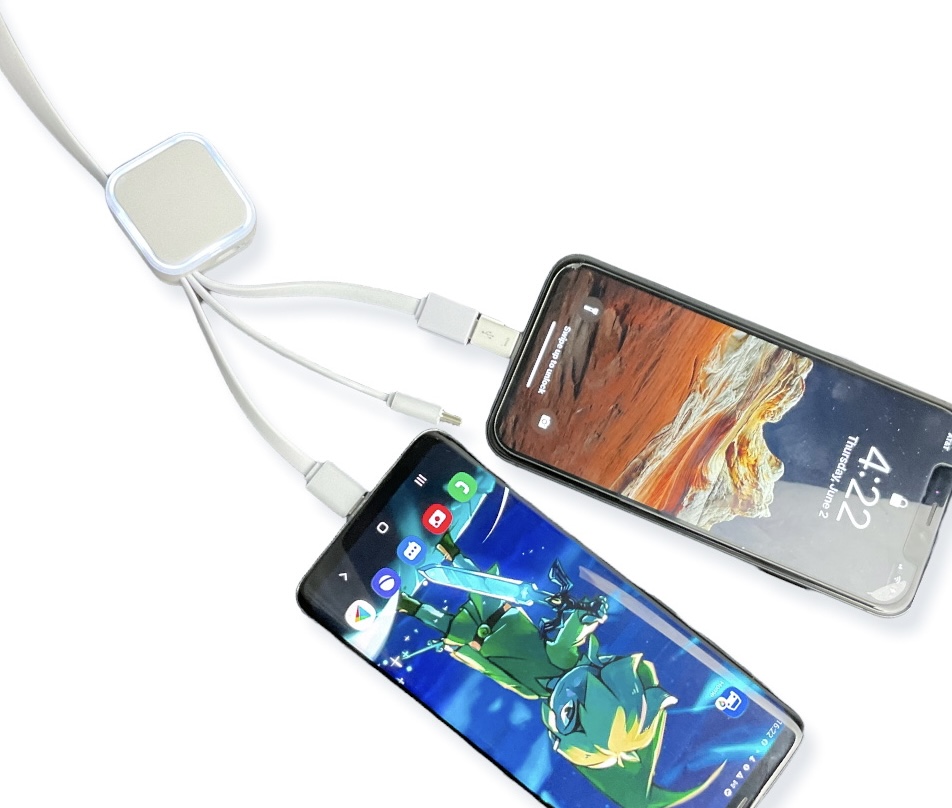 4-in-1 Charging Cable $3.79 (r...