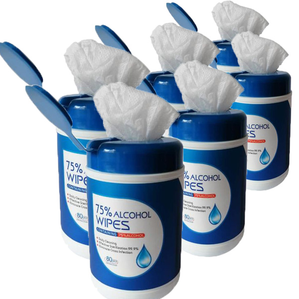 6 PACK Disinfecting Wipes $23.