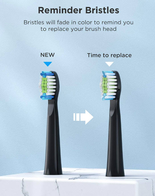 Rechargeable Sonic Electric Toothbrush with 8 Brush Heads