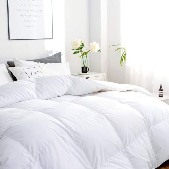 EXTREME SGD CLEARANCE Ultra Soft AllSeason Hypoallergenic Down