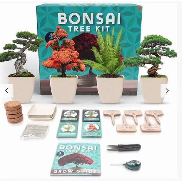 ($30 on amazon - see additional image, just $19.99 from us!) - - Bonsai ...