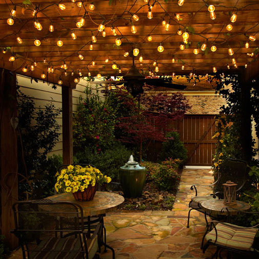 Vintage Warm White LED Indoor-Outdoor Globe String Lights - These are ...