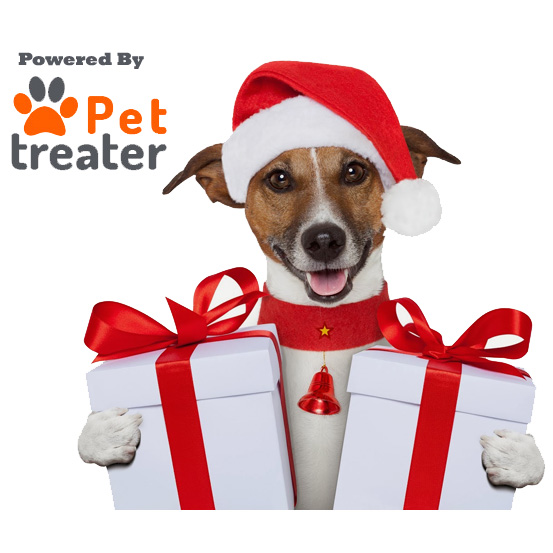 Mystery Dog Box of Goodies Christmas / Holiday Edition! Available