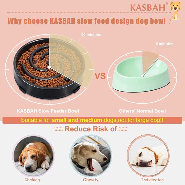 Slow Feeder Dog Bowl for Small & Medium Dogs GREAT deal because you