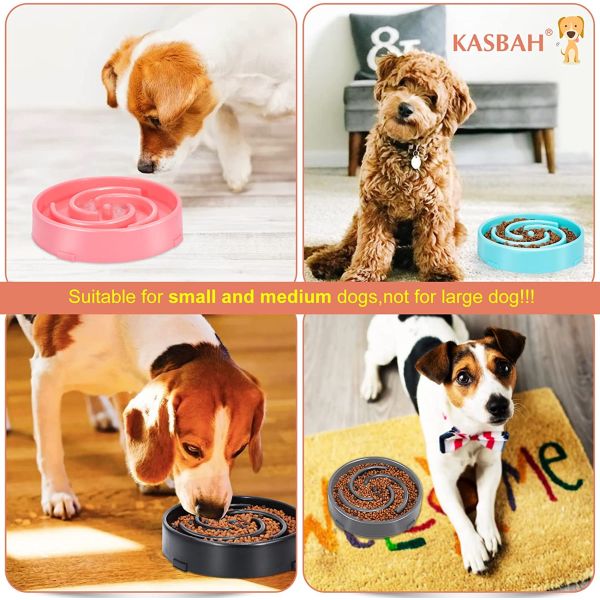 Slow Feeder Dog Bowl for Small & Medium Dogs GREAT deal because you